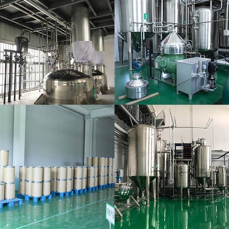 Organic Astragalus Root Powder factory